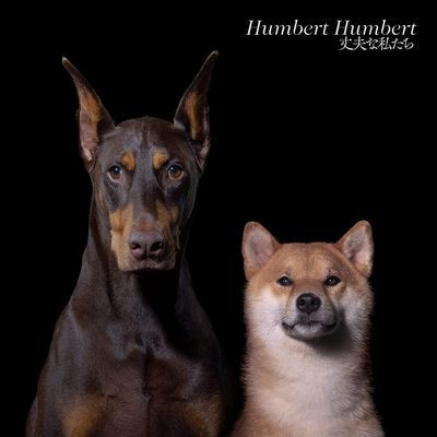 ハンバート ハンバート「丈夫な私たち」