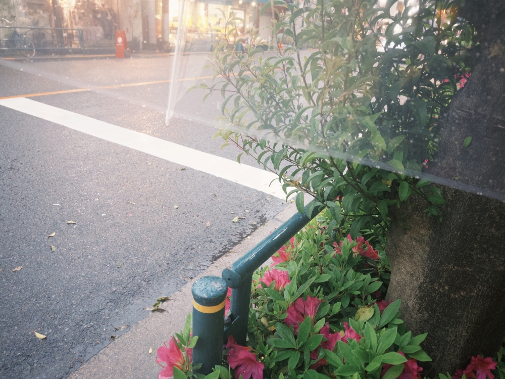 ExWHYZ・mikina