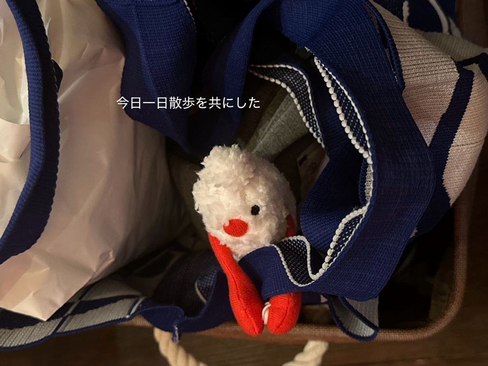ExWHYZ・mikina