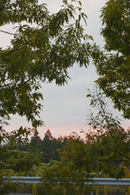 撮影＝蒼井嵐樹
