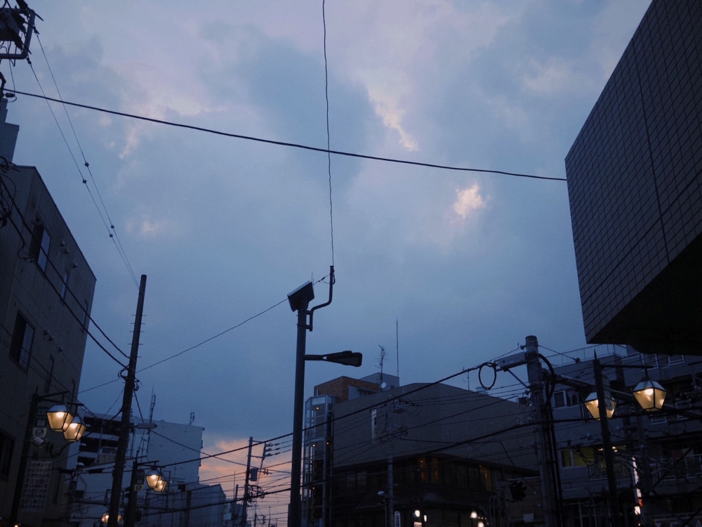 ExWHYZ・mikina