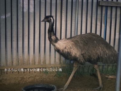 ExWHYZ・mikina