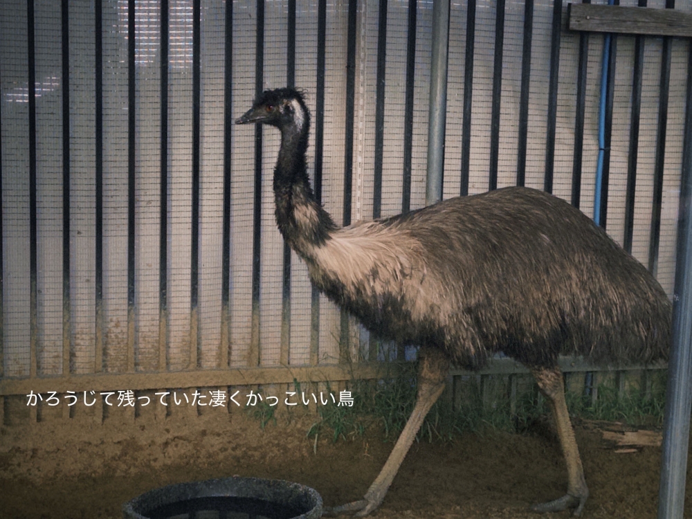 ExWHYZ・mikina