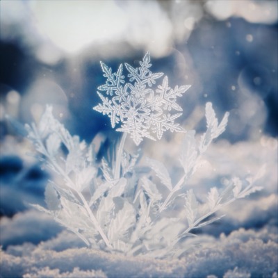 Aile The Shota「ハナユキ（Prod. UTA, LOAR）」配信中