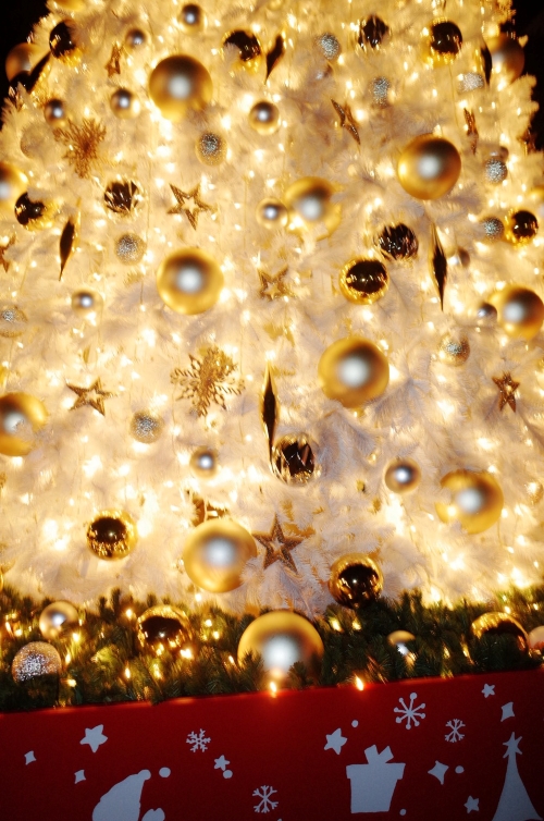 砂田将宏（BALLISTIK BOYZ）