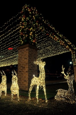 砂田将宏（BALLISTIK BOYZ）