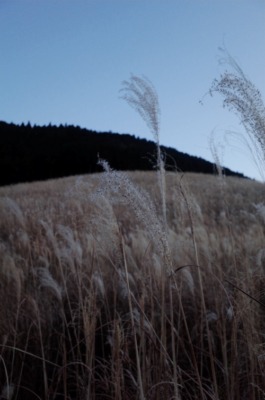 砂田将宏（BALLISTIK BOYZ）