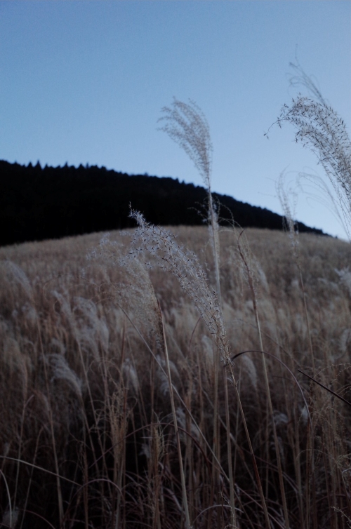 砂田将宏（BALLISTIK BOYZ）