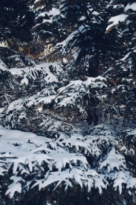 砂田将宏（BALLISTIK BOYZ）