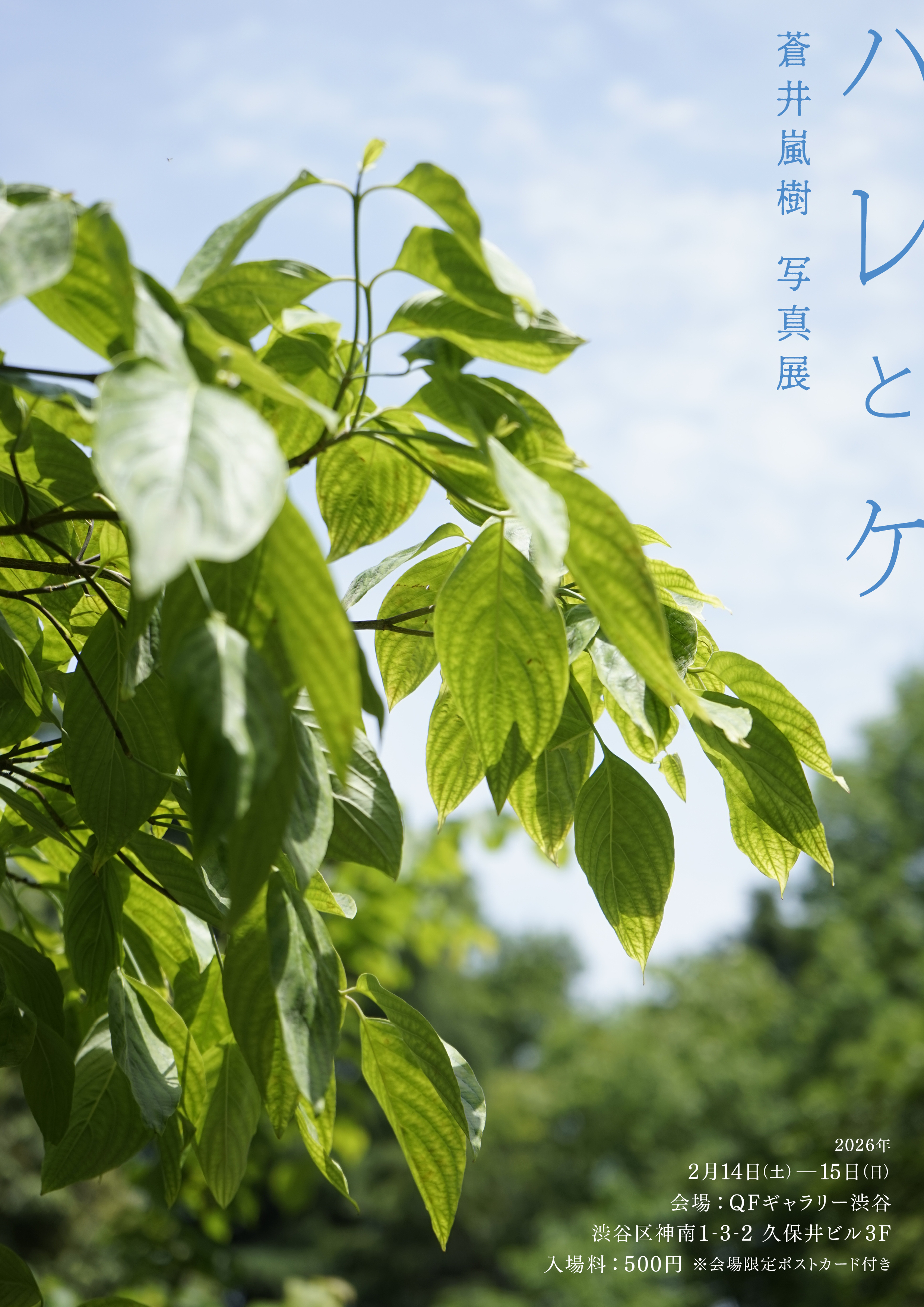 蒼井嵐樹 写真展『ハレとケ』