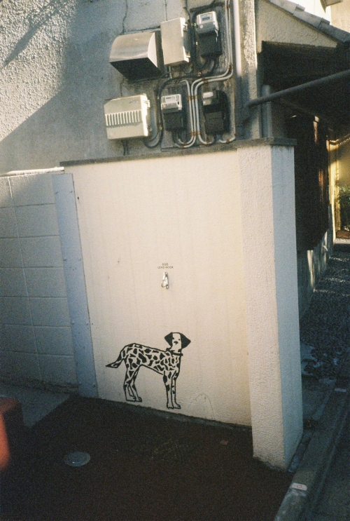 砂田将宏（BALLISTIK BOYZ）