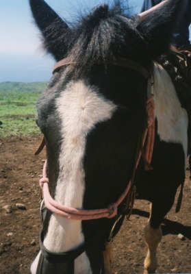 砂田将宏（BALLISTIK BOYZ）