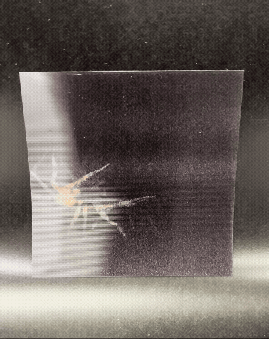 【豪華特装版】『恐怖心展』