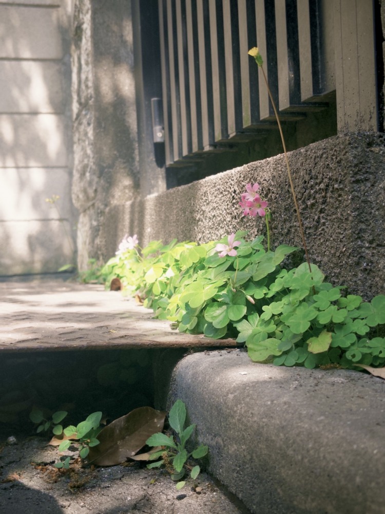 撮影＝YUTA（BMSG TRAINEE）