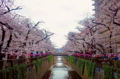 砂田将宏（BALLISTIK BOYZ）