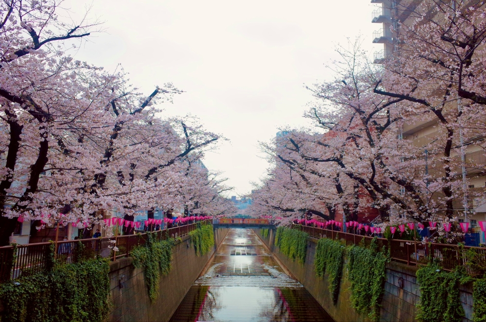 砂田将宏（BALLISTIK BOYZ）