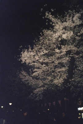 砂田将宏（BALLISTIK BOYZ）