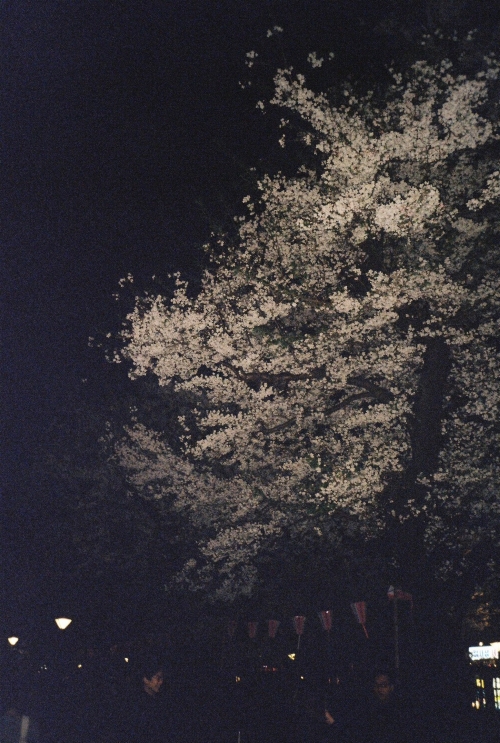 砂田将宏（BALLISTIK BOYZ）