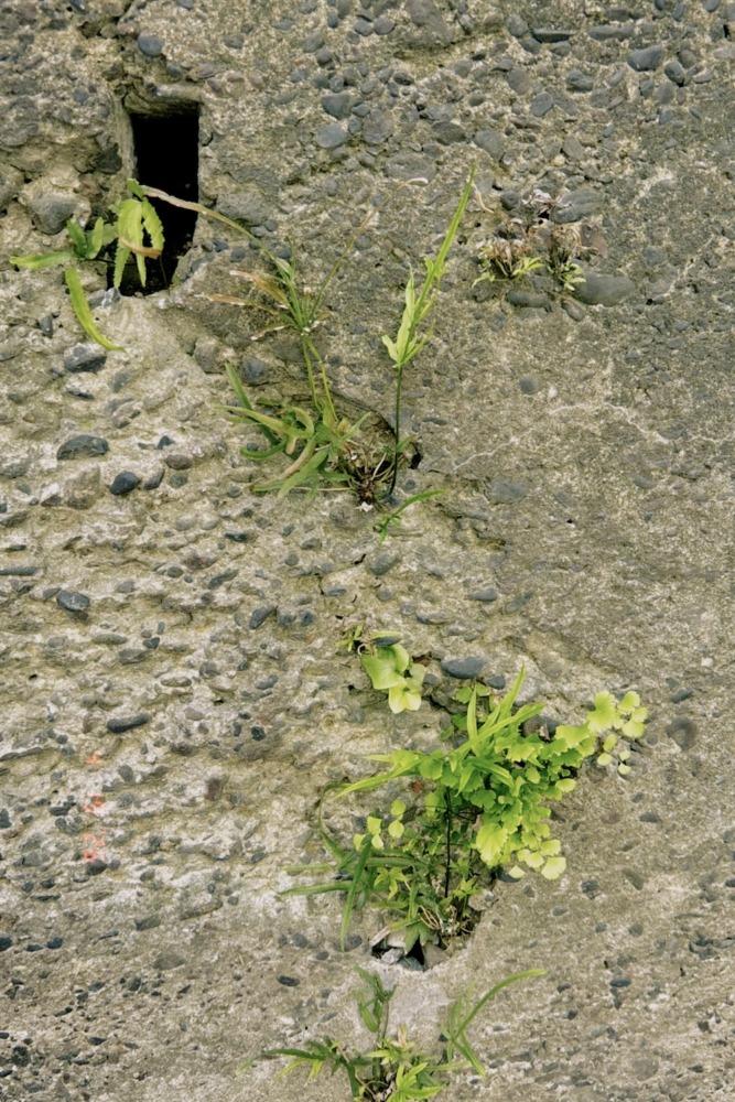 撮影＝YUTA（BMSG TRAINEE）