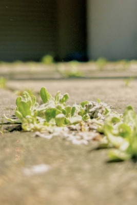 撮影＝YUTA（BMSG TRAINEE）