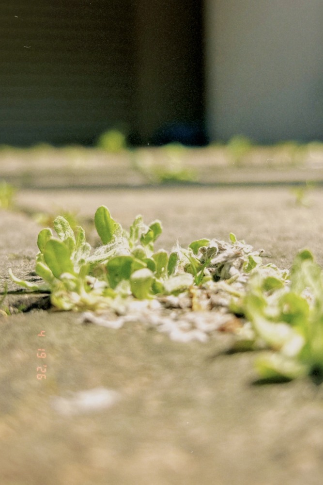 撮影＝YUTA（BMSG TRAINEE）