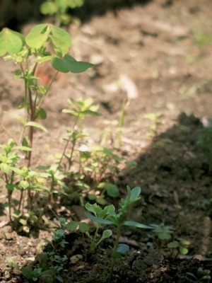 撮影＝YUTA（BMSG TRAINEE）