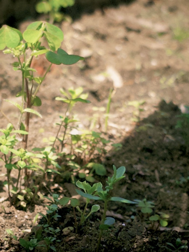 撮影＝YUTA（BMSG TRAINEE）