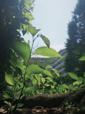 撮影＝YUTA（BMSG TRAINEE）