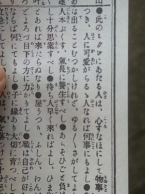 ExWHYZ・mikina