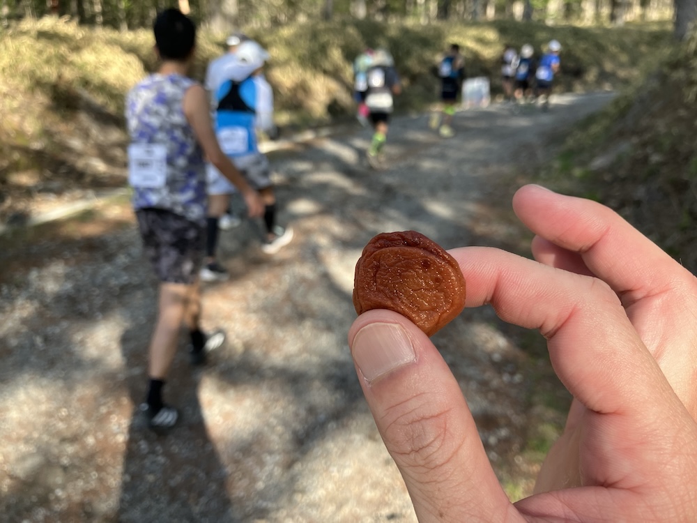 「第32回 星の郷八ヶ岳野辺山高原100kmウルトラマラソン」の梅干し／撮影＝折田侑駿