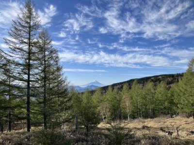 「第32回 星の郷八ヶ岳野辺山高原100kmウルトラマラソン」走行中の風景／撮影＝折田侑駿