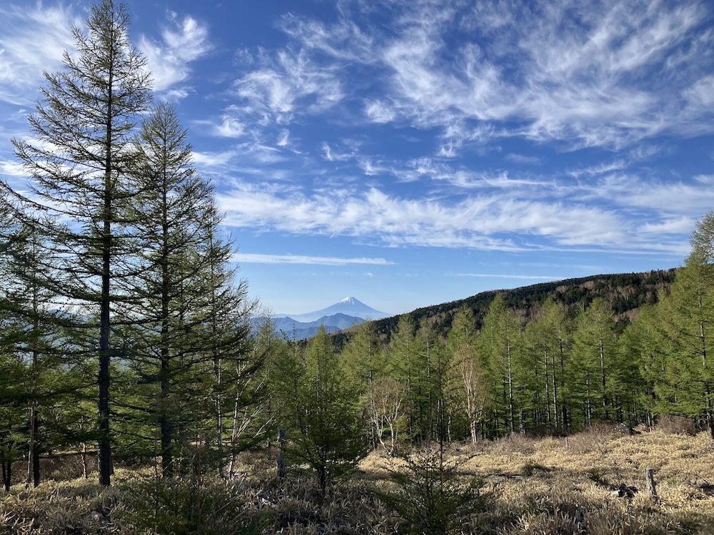 「第32回 星の郷八ヶ岳野辺山高原100kmウルトラマラソン」走行中の風景／撮影＝折田侑駿