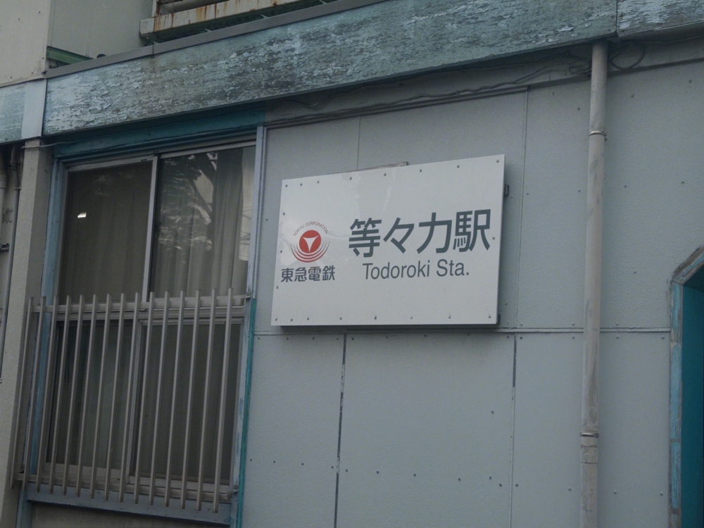 ExWHYZ・mikina