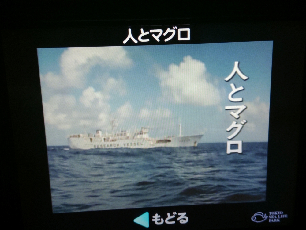 ExWHYZ・mikina