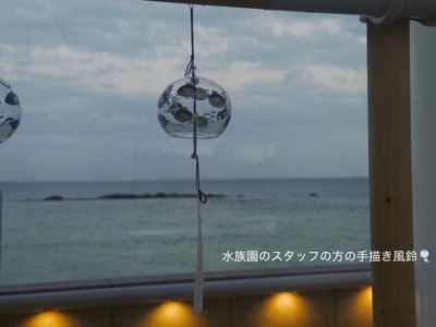 ExWHYZ・mikina