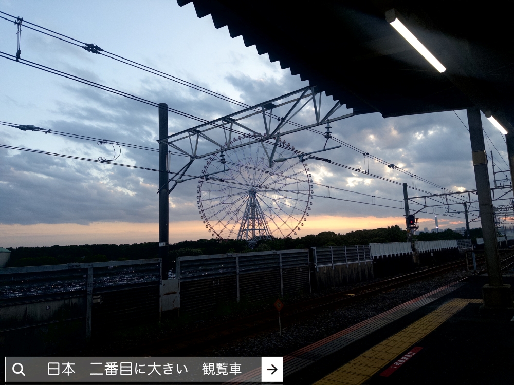 ExWHYZ・mikina