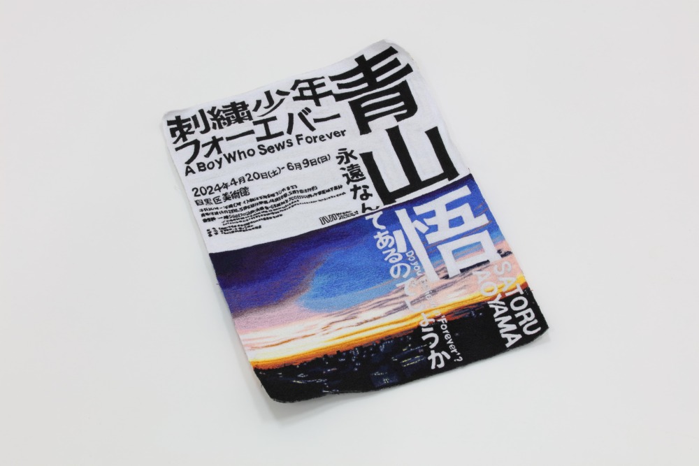 青山悟《Found Flyer (青山悟 刺繍少年フォーエバー) 》撮影：宮島径