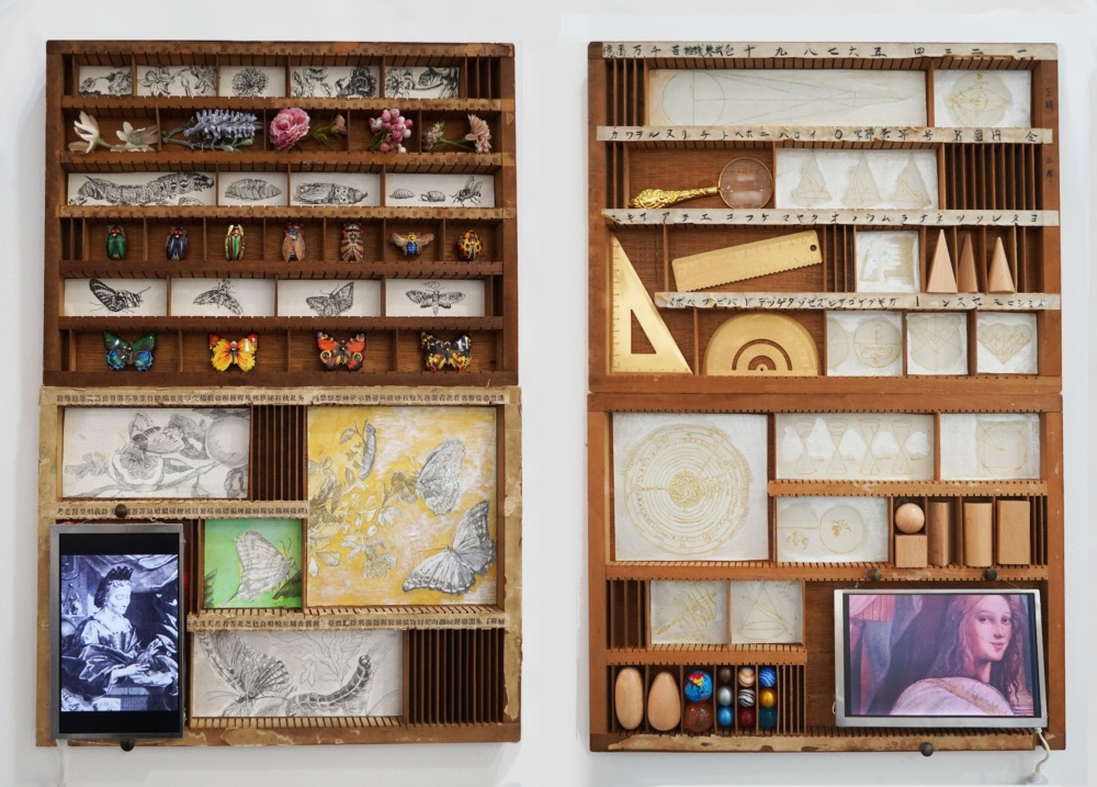 すずえり《Cabinet of Curiosities - women_s contribution》